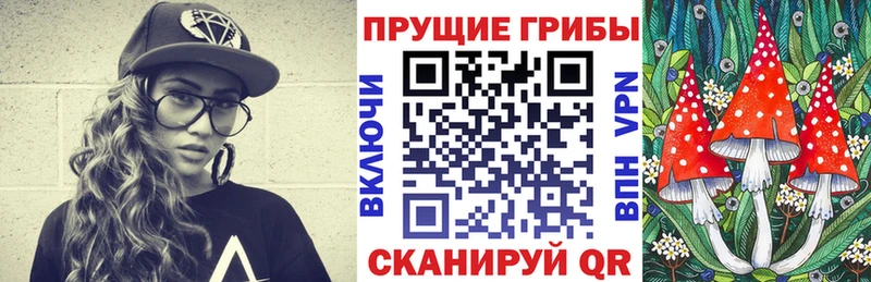 Галлюциногенные грибы Psilocybe  купить наркотики сайты  Выборг 