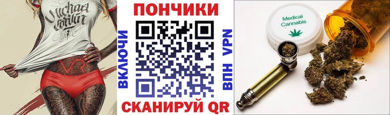 цена   Выборг  Каннабис ГИДРОПОН 